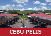 �t�B���s�����w�bPELIS