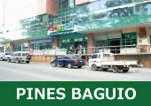 �t�B���s�����w�bPINES
