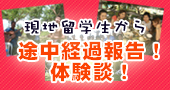 �t�B���s�����w�b�̌��k